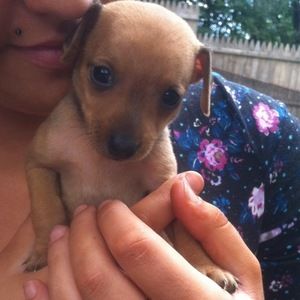 Meet your Posher, William